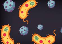antibiotik ubivaet bacterii