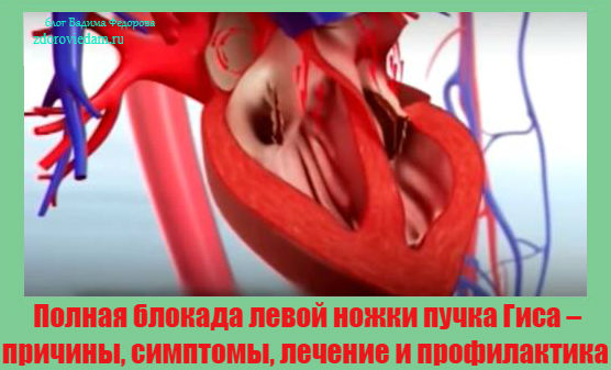 polnaya-blokada-levoj-nozhki-puchka-gisa-prichiny-simptomy-lechenie-i-profilaktika